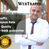 30 Days Web Traffic Website
